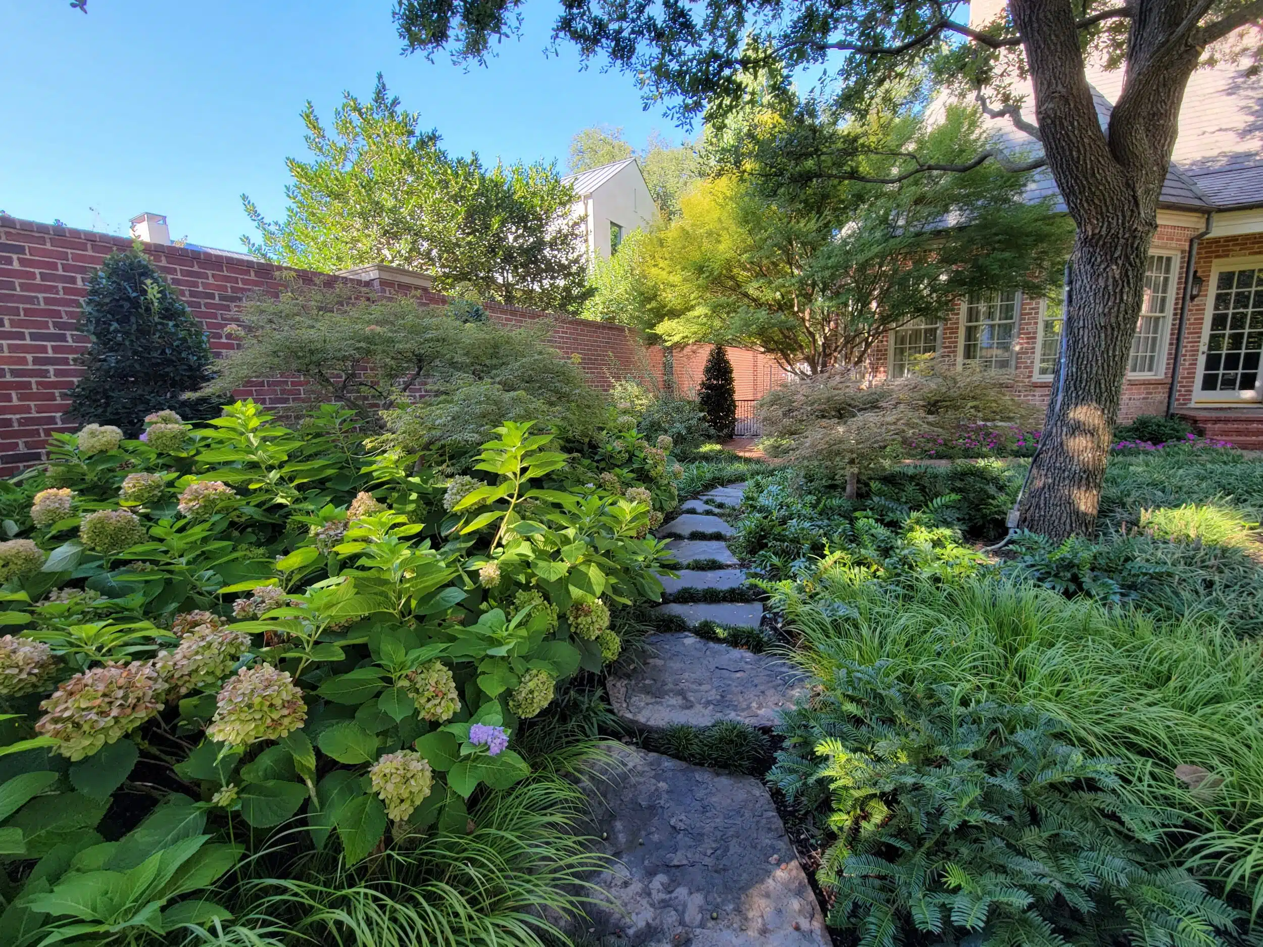 Landscape Design Forney